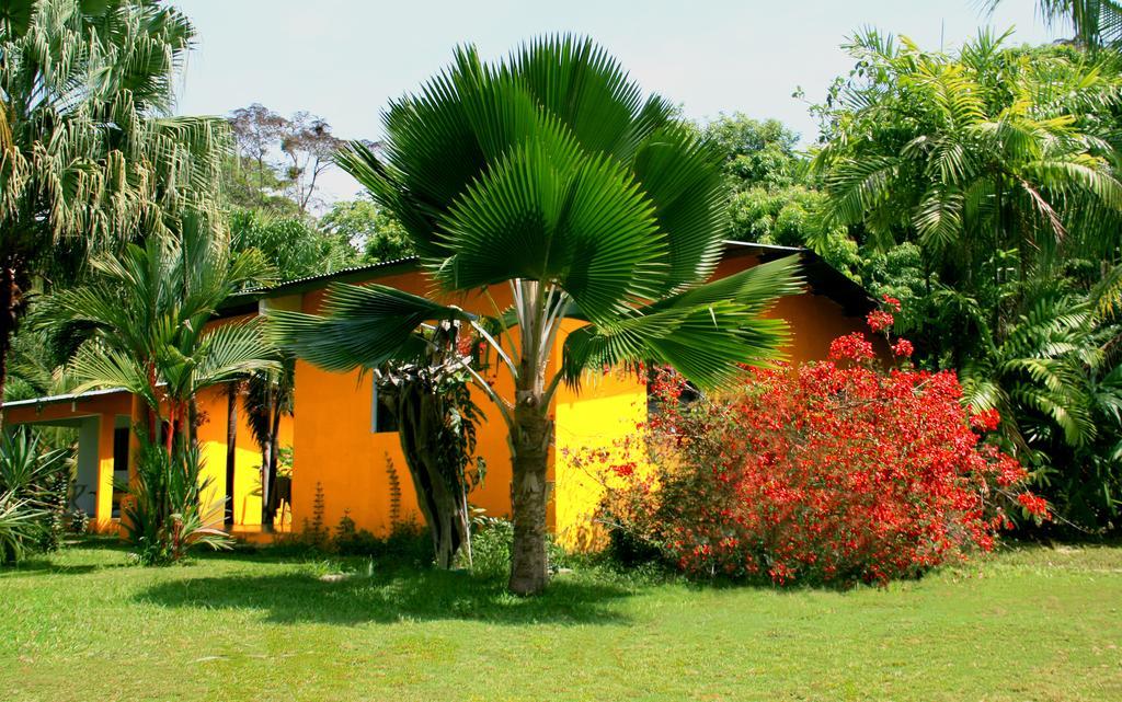 Hôtel El Ranchito Surfcamp à Pedregal Extérieur photo