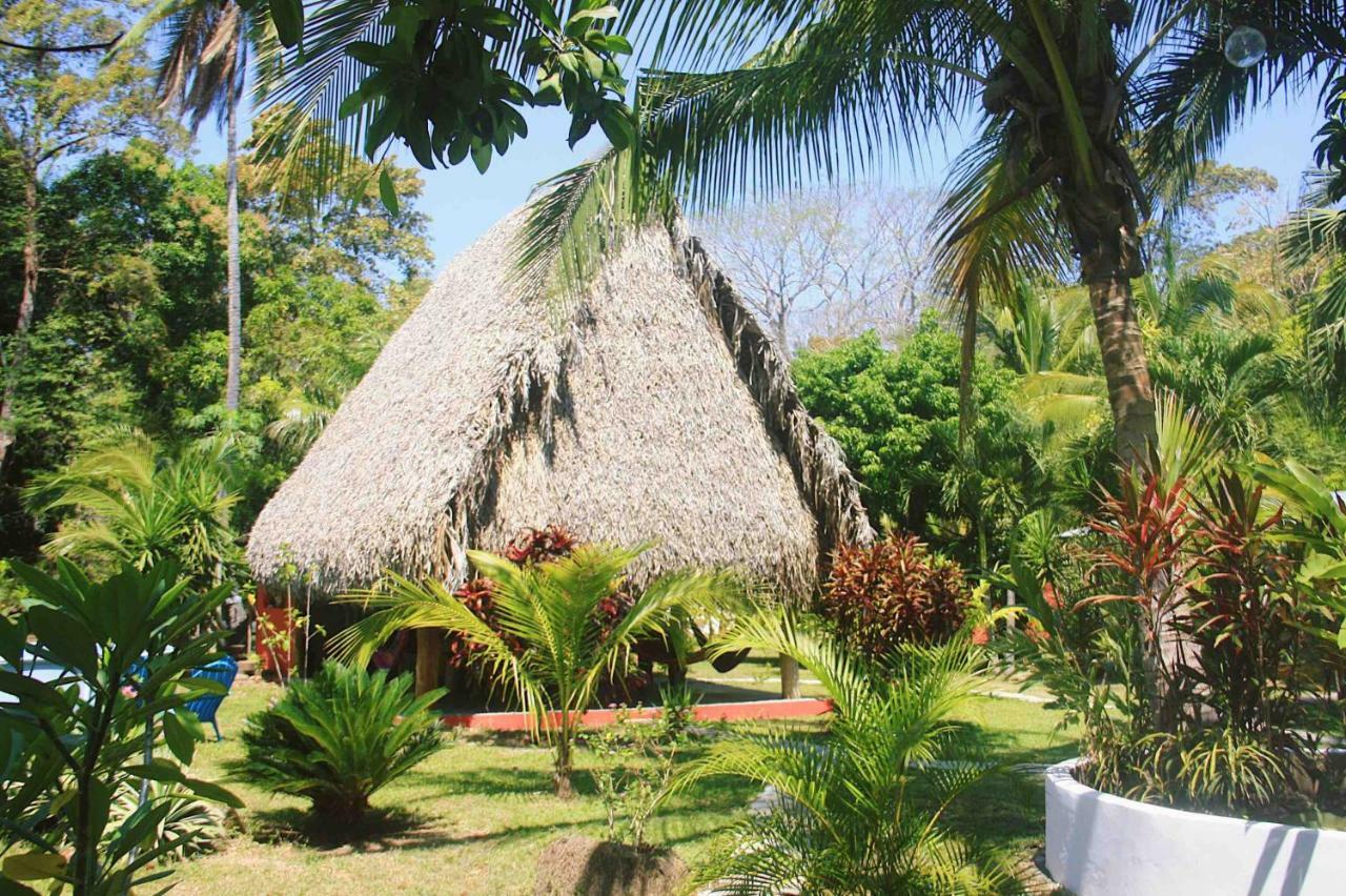 Hôtel El Ranchito Surfcamp à Pedregal Extérieur photo